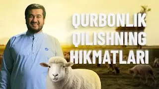 🐏 Qurbonlik qilishning hikmatlarini bilib oling!