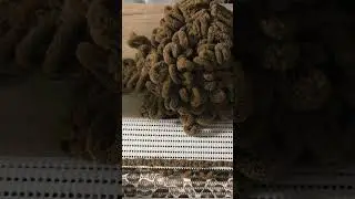 нужен ли этот коврик или нет решайте сами 😉