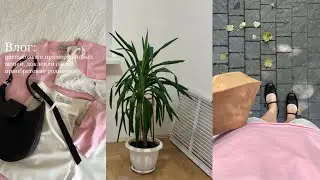 Vlog: распаковка и примерка новых вещей, доклеили обои, приобретение родителей☕️