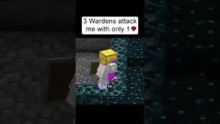 3 Wardens Ambush Me 