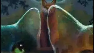 OFFICIAL Warrior Cats Video