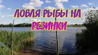 Рыбалка на резинки