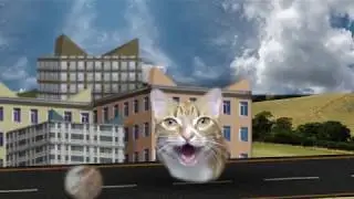 Welcome to Kitty City (remake)