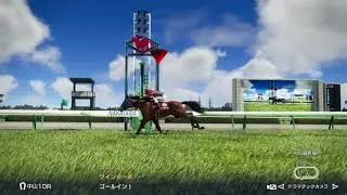 ツインターボ　オールカマーで逃げる　ウイニングポスト10　レース動画