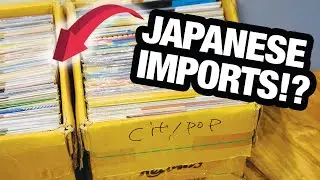 The Best Record Shop EVER?