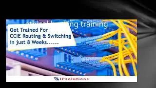 ethical hacking training