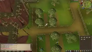 Runescape 1211