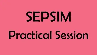 Sepsim Practical - Question 08