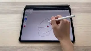 Plasmo Introduction: Apply Symmetry on iPad