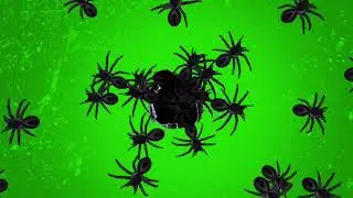 spider green screen|green screen spiders|spider green screen|Spooky spiders green screen