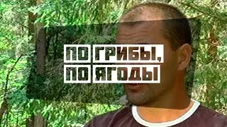 По грибы, по ягоды