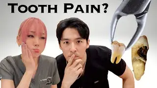 Tooth Hurting? Here's Why & 7 ways to cure it at home