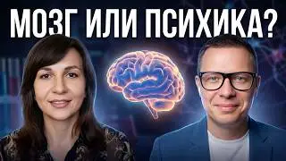 Сидим с Павлом Зыгмантовичем: биолог и психолог о самооценке, психотерапии, эмоциях и разуме