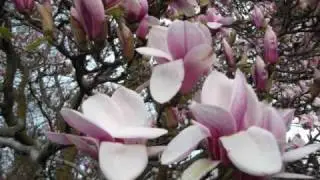 Offering- Paul Baloche