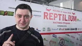 Reptilium 2018 - Snakes, lizards, snails, ants, and other exotic pets