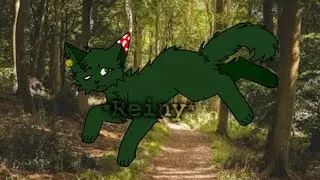 заполняю травник часть 1🌿делать продолжение?хаус открыт,записаться в моем тг ссылка в профиле🖤#Рейни