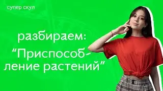 СУПЕР БИОЛОГИЯ - РАЗБОР ЗАДАНИЯ НА ПРИСПОСОБЛЕНИЕ РАСТЕНИЙ - ЕГЭ 2021