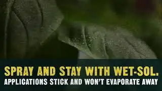Wet-Sol: Spray and Stay