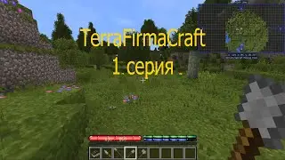 TerraFirmaCraft|выживание|1 серия| в майнкрафт | Minecraft