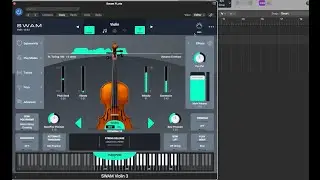 Violin for Music Production [Swam Violin]  Contact-8400414099