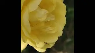 9 МАЯ! День Победы!