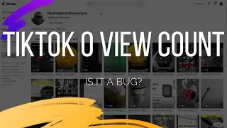 TIKTOK VIDEO HAS 0 VIEWS - IS IT A BUG?