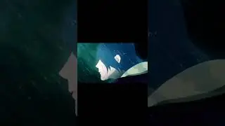 Итачи2 #anime #naruto #amv #edit #animeedit #narutoshippuden #amvedit #kimetsunoyaiba #obito #demons