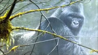 Looking To The Future (Trailer Music Virunga)