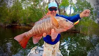 Creek Fishing For Mangrove Jack & The Gear I Use