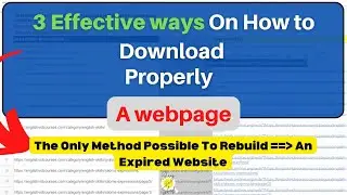 The Only Method Possible To Rebuild An Expired Website (Zhang shade)