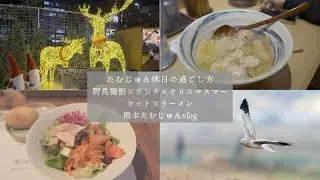 【vlog】たむじゅんの休みの過ごし方vlog 手持ち動画【熊本】