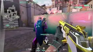 Swiggs' 100 Subscriber Montage