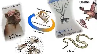 Science diagrams that look like shitposts but with Monogatari music