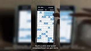 Playing Guess Free Minesweeper While Dogs