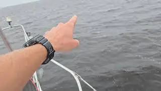 Riding out Cat 4 hurricane Milton in a sailboat