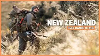 Against All Odds | New Zealand Red Stag Hunt in Winter Conditions