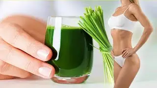 Drinking Wheatgrass Juice Every Day Can CHANGE Your Life!