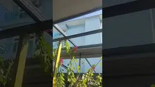 Еда в Алании.Турция. Alanya Алания.Сколько стоит пообедать в ресторане на пляже Клеопатра.Kleopatra