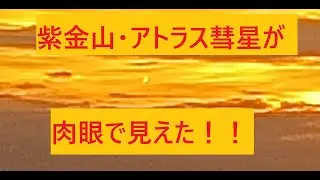 2024.10.17 17:14 紫金山・アトラス彗星@大阪