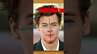 How Attractive is Harry Styles?