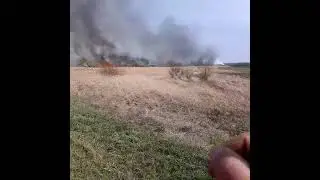 пожар горит камыш
