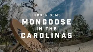 #Mongoose Guide: Hidden Gems: Mongoose in the Carolinas