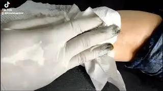 feather tattoo