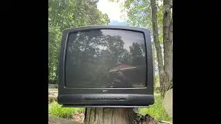 bulldog eyes - crttv