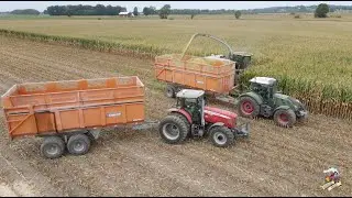 Corn Silage Harvest at Sterling Heights Dairy Farm