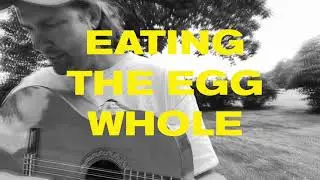 Wild Pink - Eating The Egg Whole (Official Lyric Video)