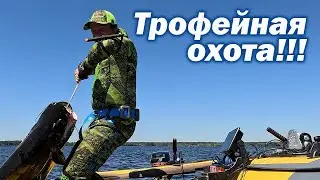 ПОДВОДНАЯ ОХОТА НА ПРОСВЕТ!!! ПОИСК РАНЕННОГО МОНСТРА!!!