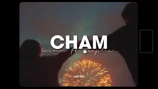 Chạm - Quinn x Zeaplee「Lofi Version by 1 9 6 7」/ Audio Lyrics Video