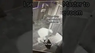 Did she think she could get away with it? LOL