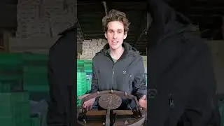 Worlds smallest trap VS Bear Trap! 